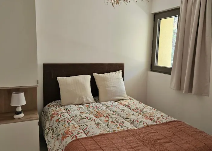 Chez Vicky, Superbe Avec Parking Prive Piscine Et Vue Exceptionnelle * 阿雅克肖